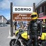 yellowfever
